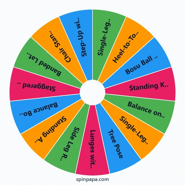 Balance Exercises Picker Wheel - Spinpapa