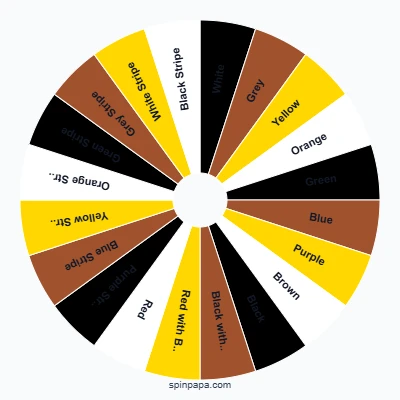 BJJ Belt System Picker Wheel